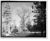 Wawona Road, Between South Entrance & Yosemite Valley, Yosemite Village, Mariposa County, CA - 13, Antique Wall Art