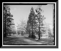 Wawona Road, Between South Entrance & Yosemite Valley, Yosemite Village, Mariposa County, CA - 14, Vintage Poster