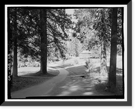 Wawona Road, Between South Entrance & Yosemite Valley, Yosemite Village, Mariposa County, CA - 23, Historic Print