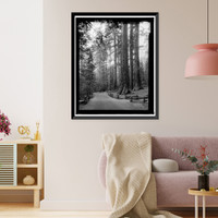 Wawona Road, Between South Entrance & Yosemite Valley, Yosemite Village, Mariposa County, CA - 28, Antique Poster