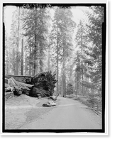 Historic Framed Print, Wawona Road, Between South Entrance & Yosemite Valley, Yosemite Village, Mariposa County, CA - 29,  17-7/8" x 21-7/8"
