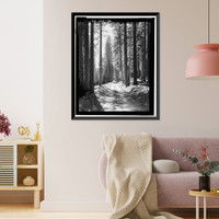 Historic Framed Print, Tioga Road, Between Crane Flat & Tioga Pass, Yosemite Village, Mariposa County, CA - 32,  17-7/8" x 21-7/8"