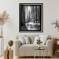 Historic Framed Print, Tioga Road, Between Crane Flat & Tioga Pass, Yosemite Village, Mariposa County, CA - 32,  17-7/8" x 21-7/8"