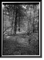 Dyea Townsite (Ruins), Skagway, Municipality of Skagway Borough, AK - 4, Historic Print