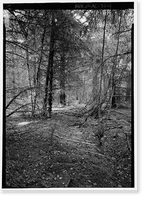 Dyea Townsite (Ruins), Skagway, Municipality of Skagway Borough, AK - 4, Historic Print