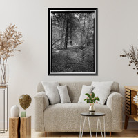 Dyea Townsite (Ruins), Skagway, Municipality of Skagway Borough, AK - 4, Historic Print