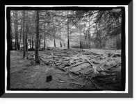 Dyea Townsite (Ruins), Skagway, Municipality of Skagway Borough, AK - 5 Classic, Antique Print
