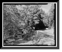 Redwood National & State Parks Roads, California coast from Crescent City to Trinidad, Crescent City, Del Norte County, CA - 30, Vintage Print