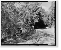 Redwood National & State Parks Roads, California coast from Crescent City to Trinidad, Crescent City, Del Norte County, CA - 30, Vintage Print