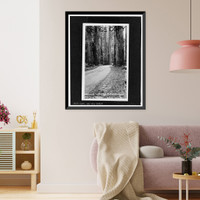 Redwood National & State Parks Roads, California coast from Crescent City to Trinidad, Crescent City, Del Norte County, CA - 62, Antique Poster
