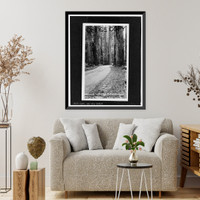 Redwood National & State Parks Roads, California coast from Crescent City to Trinidad, Crescent City, Del Norte County, CA - 62, Antique Poster