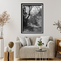 Historic Framed Print, Kingsley Plantation, 11676 Palmetto Avenue, Jacksonville, Duval County, FL - 12,  17-7/8" x 21-7/8"