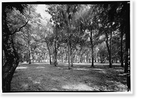 Kingsley Plantation, 11676 Palmetto Avenue, Jacksonville, Duval County, FL - 13, Antique Print
