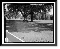 Richmond Hill Plantation, East of Richmond Hill on Ford Neck Road, Richmond Hill, Bryan County, GA - 6, Antique Poster