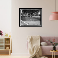 Richmond Hill Plantation, East of Richmond Hill on Ford Neck Road, Richmond Hill, Bryan County, GA - 6, Antique Poster