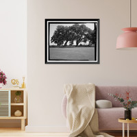 Historic Framed Print, Richmond Hill Plantation, East of Richmond Hill on Ford Neck Road, Richmond Hill, Bryan County, GA - 25,  17-7/8" x 21-7/8"