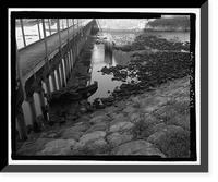 Historic Framed Print, Richmond Hill Plantation, Sterling Creek Marsh, East of Richmond Hill on Ford Neck Road, Richmond Hill, Bryan County, GA - 4,  17-7/8" x 21-7/8"
