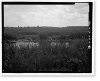 Historic Framed Print, Richmond Hill Plantation, Sterling Creek Marsh, East of Richmond Hill on Ford Neck Road, Richmond Hill, Bryan County, GA - 15,  17-7/8" x 21-7/8"