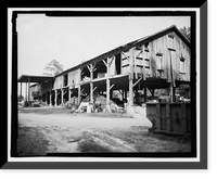 Historic Framed Print, Richmond Hill Plantation, Cherry Hill Lettuce Shed, East of Richmond Hill on Ford Neck Road, Richmond Hill, Bryan County, GA - 5,  17-7/8" x 21-7/8"