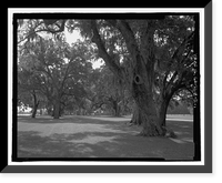 Historic Framed Print, Richmond Hill Plantation, Laboratory-Powerhouse & Chimney, East of Richmond Hill on Ford Neck Road, Richmond Hill, Bryan County, GA,  17-7/8" x 21-7/8"