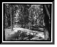 Historic Framed Print, Richmond Hill Plantation, Oyster House, East of Richmond Hill on Ford Neck Road, Richmond Hill, Bryan County, GA - 4,  17-7/8" x 21-7/8"