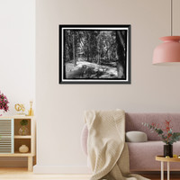 Historic Framed Print, Richmond Hill Plantation, Oyster House, East of Richmond Hill on Ford Neck Road, Richmond Hill, Bryan County, GA - 4,  17-7/8" x 21-7/8"