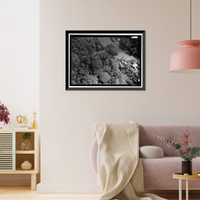 Historic Framed Print, Hana Belt Road, Between Haiku and Kaipahulu, Hana vicinity, Maui County, HI - 9,  17-7/8" x 21-7/8"