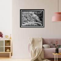 Historic Framed Print, Hana Belt Road, Between Haiku and Kaipahulu, Hana vicinity, Maui County, HI - 10,  17-7/8" x 21-7/8"