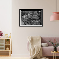 Historic Framed Print, Hana Belt Road, Between Haiku and Kaipahulu, Hana vicinity, Maui County, HI - 15,  17-7/8" x 21-7/8"