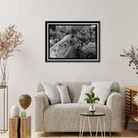 Historic Framed Print, Hana Belt Road, Between Haiku and Kaipahulu, Hana vicinity, Maui County, HI - 30,  17-7/8" x 21-7/8"