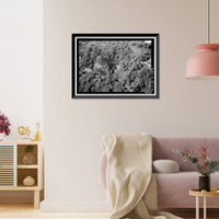 Historic Framed Print, Hana Belt Road, Between Haiku and Kaipahulu, Hana vicinity, Maui County, HI - 42,  17-7/8" x 21-7/8"