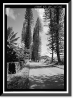 Historic Framed Print, Hana Belt Road, Between Haiku and Kaipahulu, Hana vicinity, Maui County, HI - 116,  17-7/8" x 21-7/8"