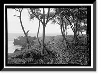 Historic Framed Print, Hana Belt Road, Between Haiku and Kaipahulu, Hana vicinity, Maui County, HI - 166,  17-7/8" x 21-7/8"