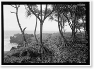 Historic Framed Print, Hana Belt Road, Between Haiku and Kaipahulu, Hana vicinity, Maui County, HI - 166,  17-7/8" x 21-7/8"