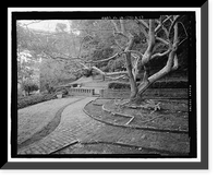 Historic Framed Print, Naval Training Station, Senior Officers' Quarters District, Naval Station Treasure Island, Yerba Buena Island, San Francisco, San Francisco County, CA - 17,  17-7/8" x 21-7/8"