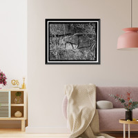 Historic Framed Print, Fort Barry, Bonita Ridge Access Road, Retaining Wall, Point Bonita, Marin Headlands, Sausalito vicinity, Marin County, CA - 5,  17-7/8" x 21-7/8"