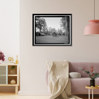 Historic Framed Print, Namakani Paio Campground, Highway 11, Volcano vicinity, Hawaii County, HI,  17-7/8" x 21-7/8"