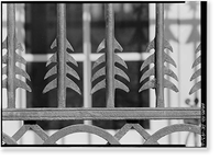 Historic Framed Print, Winterthur Museum Iron Gates, Route 52, Wilmington vicinity, New Castle County, DE - 6,  17-7/8" x 21-7/8"