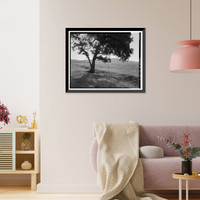 Historic Framed Print, Keefe-McDerby Mine Ditch, East of East Bidwell Street between Clarksville Ro, Folsom vicinity, Sacramento County, CA - 6,  17-7/8" x 21-7/8"