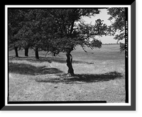 Historic Framed Print, Natomas Ditch System, Rhodes Ditch, West of Bidwell Street, north of U.S. Highway 50, Folsom, Sacramento County, CA - 19,  17-7/8" x 21-7/8"