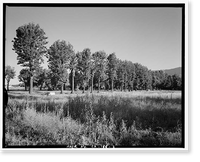 Historic Framed Print, Euclid Avenue, Upland, San Bernardino County, CA - 2,  17-7/8" x 21-7/8"