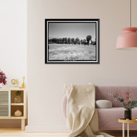 Historic Framed Print, Euclid Avenue, Upland, San Bernardino County, CA - 6,  17-7/8" x 21-7/8"