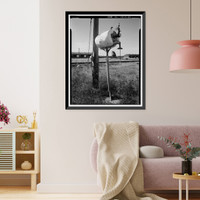 Historic Framed Print, Rocky Mountain Arsenal, Bounded by Ninety-sixth Avenue & Fifty-sixth Avenu, Commerce City, Adams County, CO - 96,  17-7/8" x 21-7/8"