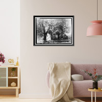 Historic Framed Print, Mark Twain Cabin, Jackass Hill, Tuolumne County, CA,  17-7/8" x 21-7/8"