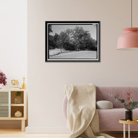 Historic Framed Print, Generals Highway, Three Rivers vicinity, Tulare County, CA - 55,  17-7/8" x 21-7/8"