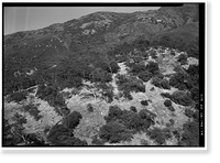 Historic Framed Print, Generals Highway, Three Rivers vicinity, Tulare County, CA - 71,  17-7/8" x 21-7/8"