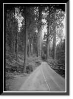 Historic Framed Print, Generals Highway, Three Rivers vicinity, Tulare County, CA - 117,  17-7/8" x 21-7/8"