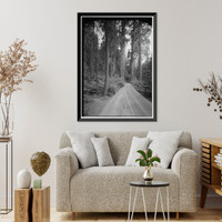 Historic Framed Print, Generals Highway, Three Rivers vicinity, Tulare County, CA - 117,  17-7/8" x 21-7/8"