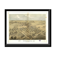 Panoramic Map - Centralia, Illinois, 1867 - Bird's Eye View Print