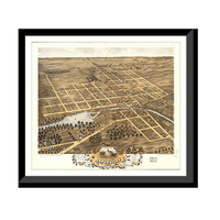 Panoramic Map - Naperville, Illinois, 1869 - Bird's Eye View Print